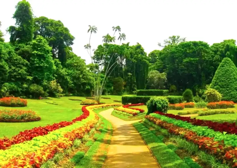 shutterstock 563777509