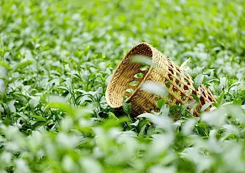 şubat 2 3 küçük