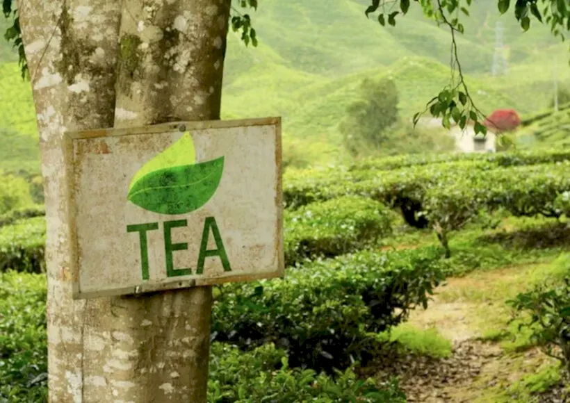 8af96a1a 0901 4683 9039 c4f1cf7d249d