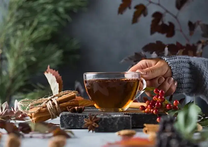 shutterstock 2027712344