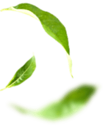 mevlana cay slideleft 01