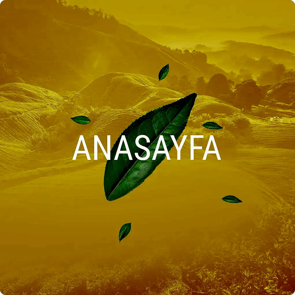 mevlana cay anasayfa buton