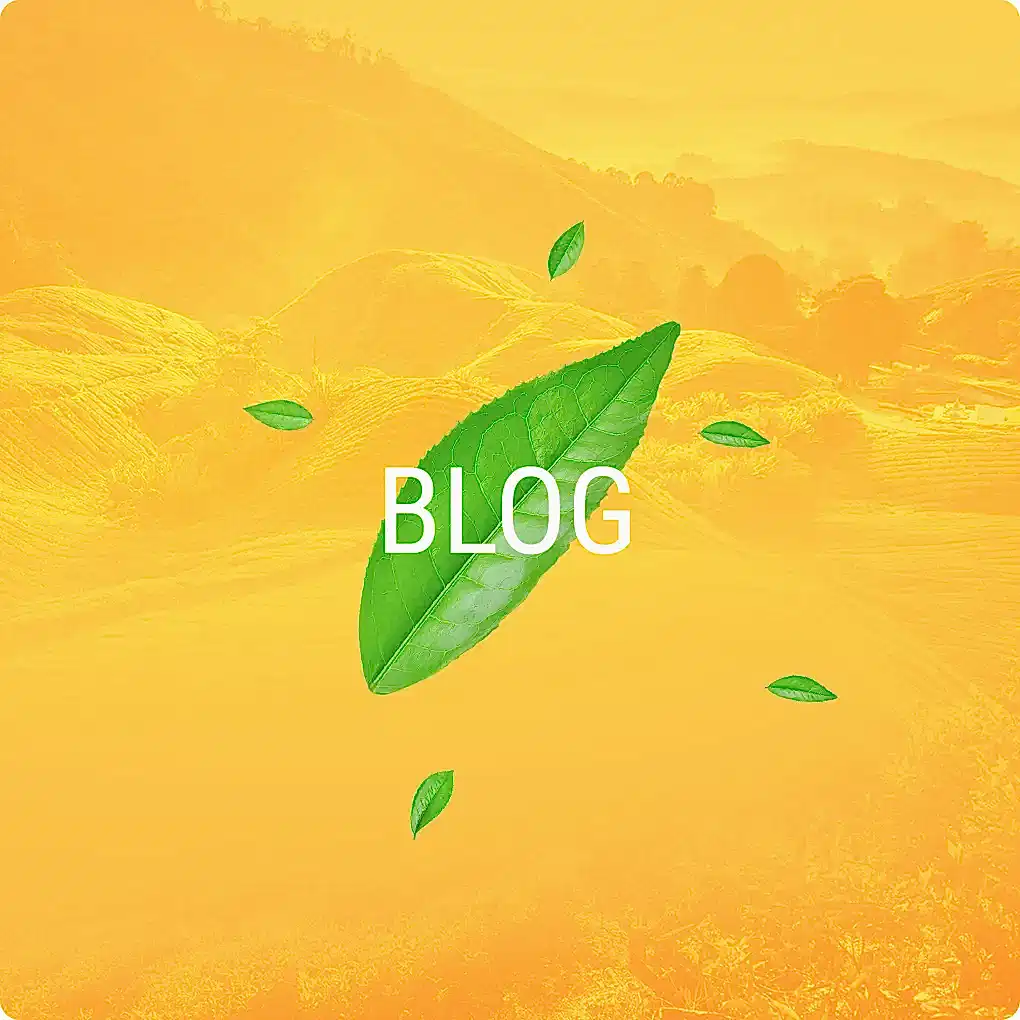 mevlana cay blog buton