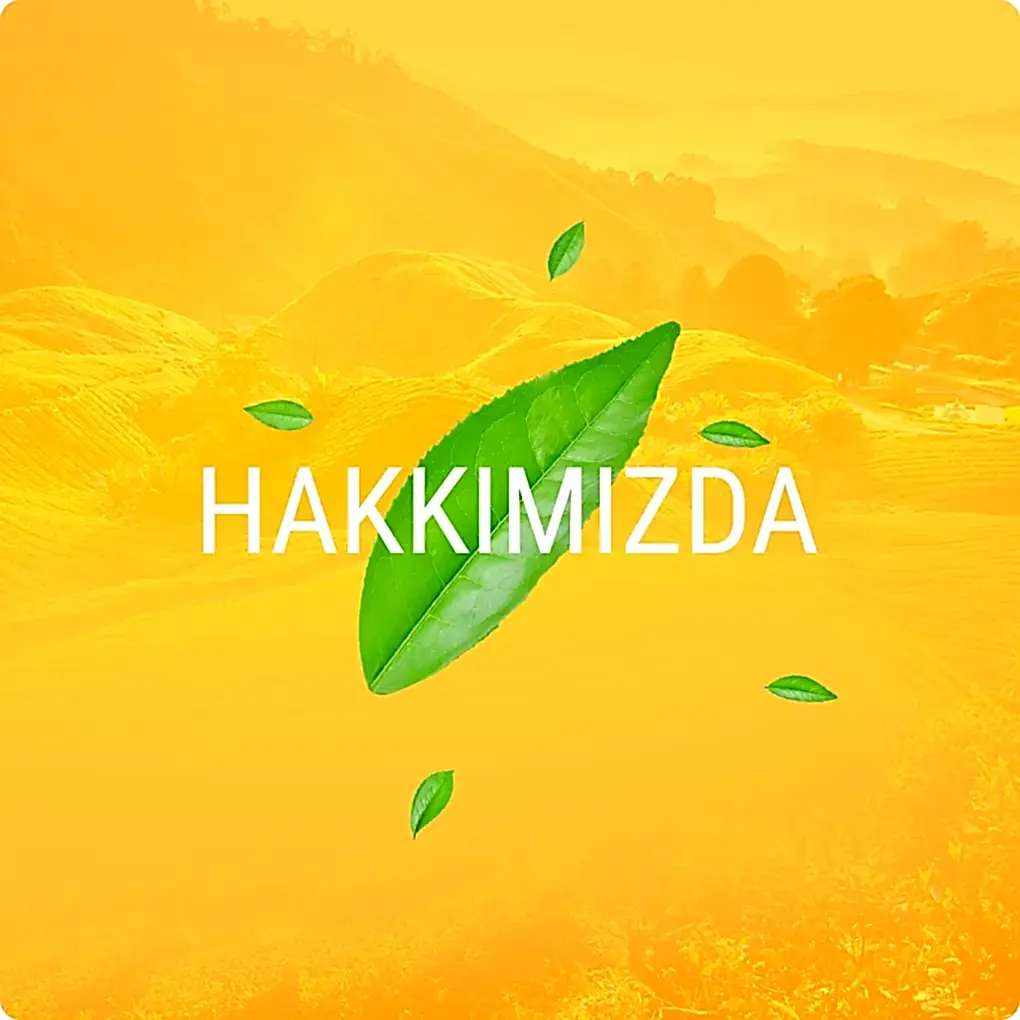 mevlana cay hakkimizda buton