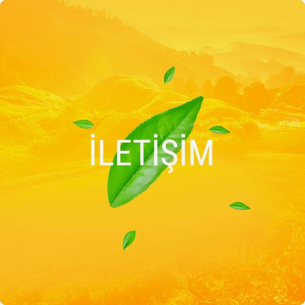 mevlana cay iletisim buton