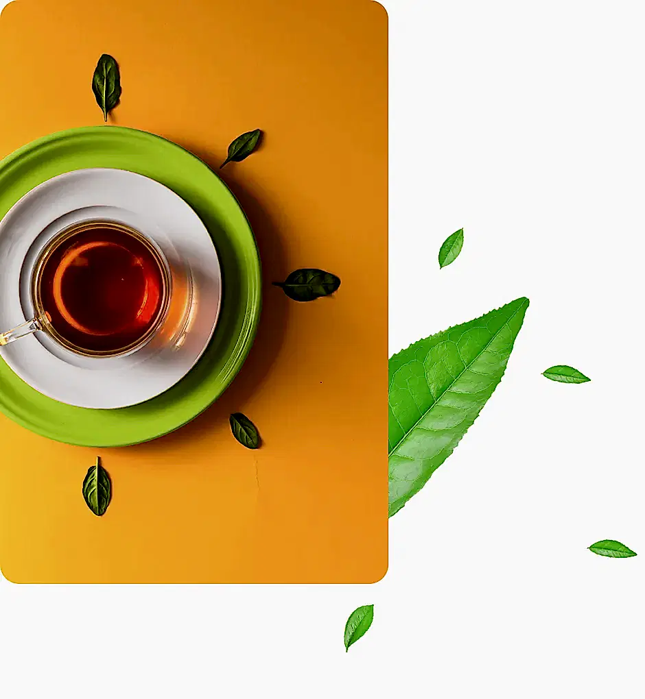 mevlana cay ne zaman icilir