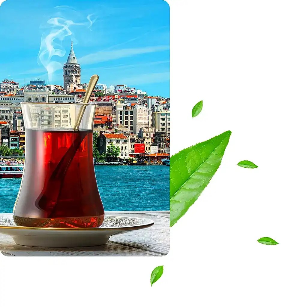 mevlana cay ozellikleri