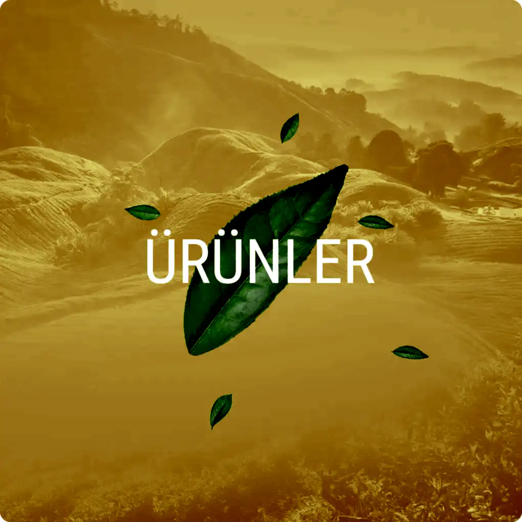 mevlana cay urunler buton